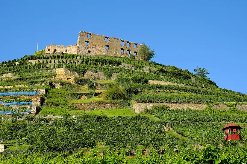 Weinanbaugebiet Baden
