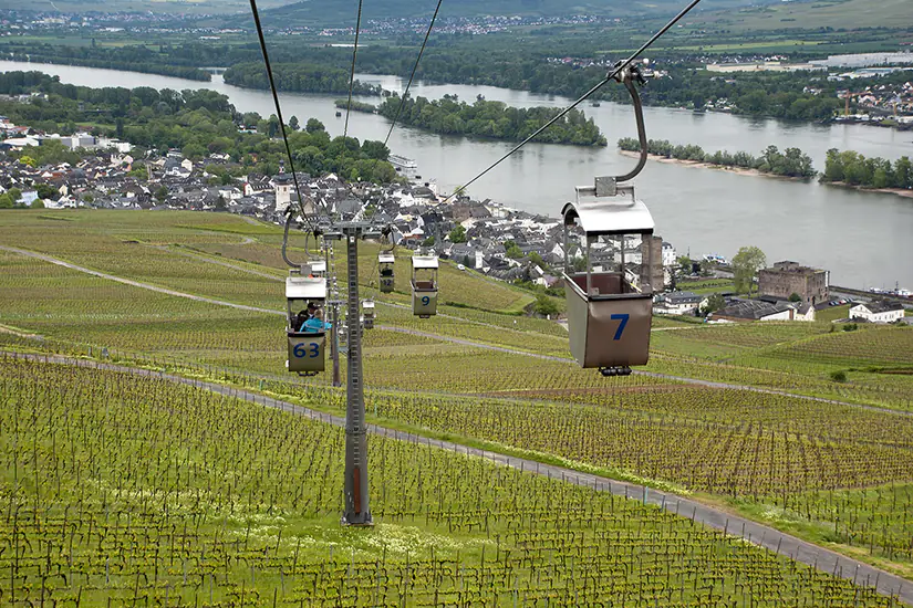 Weinanbaugebiet Rheingau