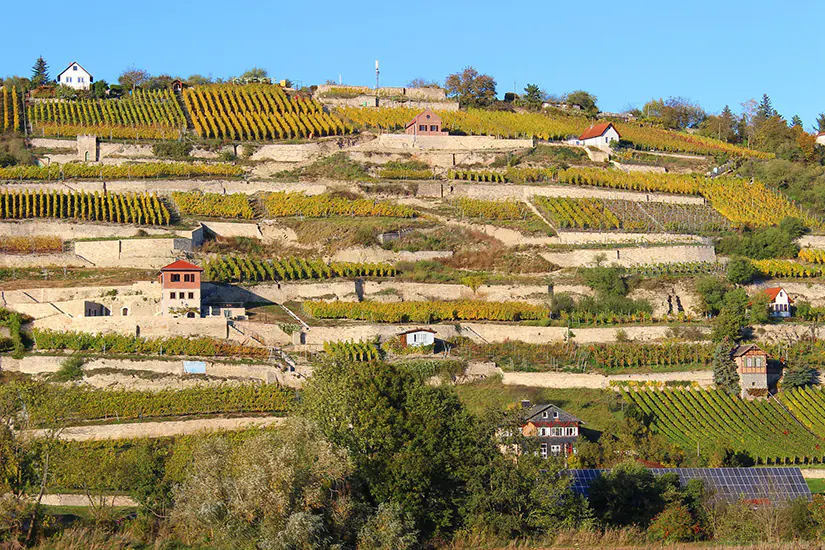 Weinanbaugebiet Saale-Unstrut